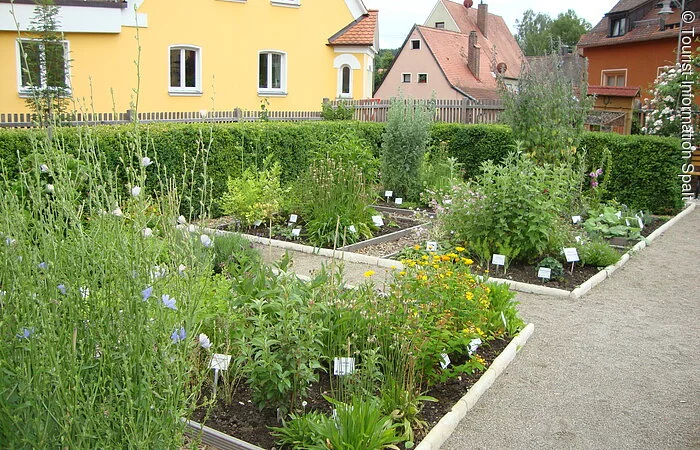 Verschiedene Kräuter, Gewürze und andere Pflanzen zieren den Apothekergarten in Spalt.