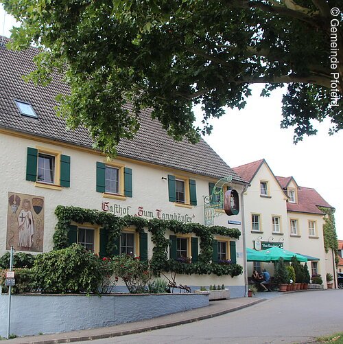 Gasthof Tannhäuser Ein beiges Haus mit grünen Fensterläden im fränkischen Baustil. Die Fenster im Erdegeschoss sind umwuchert von grünem Efeu. rechts dahinter ein weiteres beiges Haus mit türkisen Sonnenschrimen direkt am Haus.