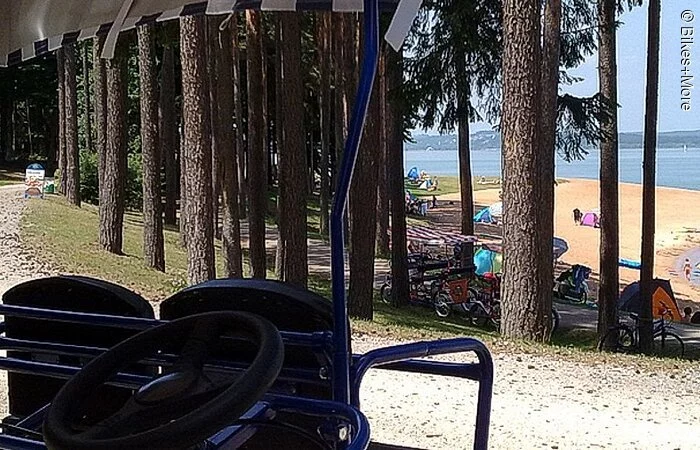 Super Blick durch Bäume auf einen Sandstrand am See.