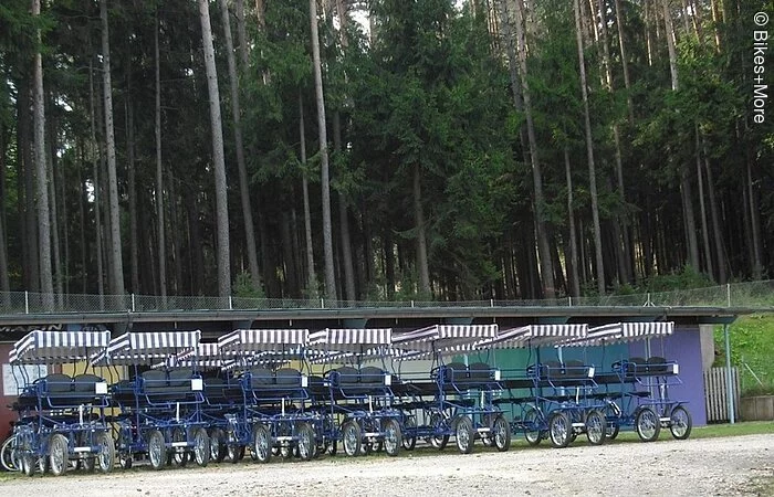 Sechs Rikschas stehen in einer Reihe auf einem Schotterplatz. Im Hintergund Wald.