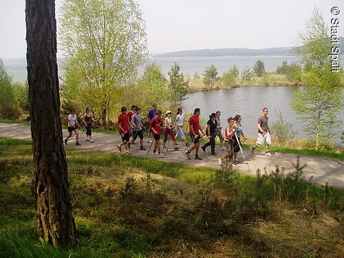 Eine Gruppe Nordic Walker wandern auf einem Weg direkt am Ufer durch grüne Wiesen.