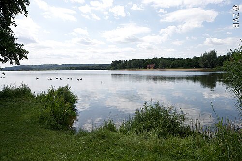Blick auf den kleinen Brombachsee mit seinen grün bewachsenen Ufern.