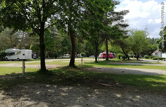 Ein Campingplatz mit Wohnmobilen, umgeben von Bäumen und Rasenflächen. Im Hintergrund sind mehrere Wohnmobile zu sehen.